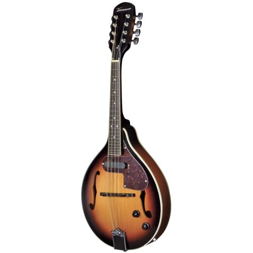MANDOLINE A-1 SELECT SUNBURST
