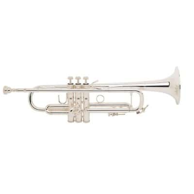 STRADIVARIUS LR180SML 37/25 SILVER