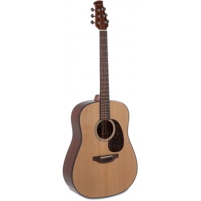 Akoestische Gitaar Wood Classics Aad96-4 Natural Gloss Naturel Hoogglans