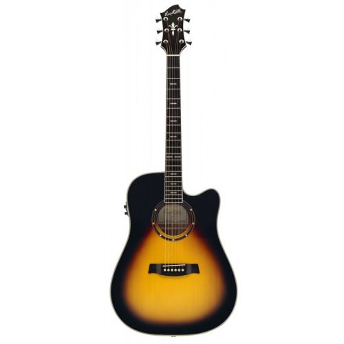 Hagstrom Siljan Dreadnought Tsb E/a Ctw