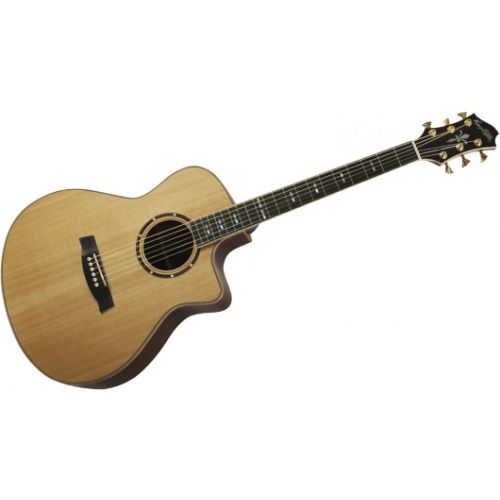 Hagstrom Elgra-ce