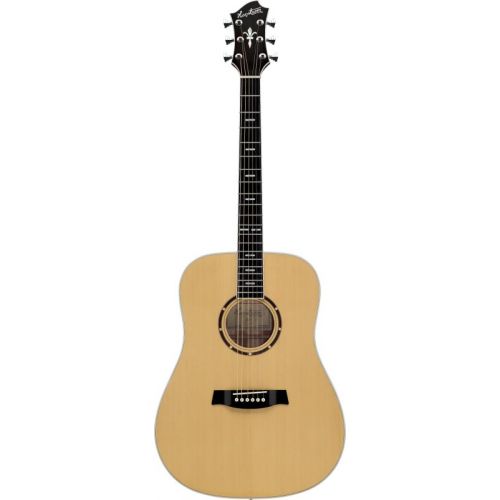 Hagstrom Siljan Dreadnought E/a Ctw