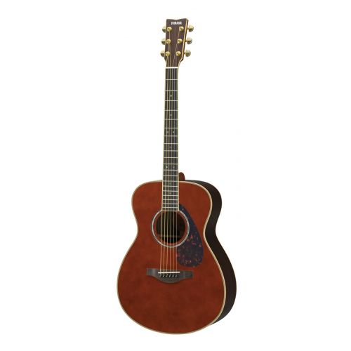 LS16 A.R.E DARK TINTED