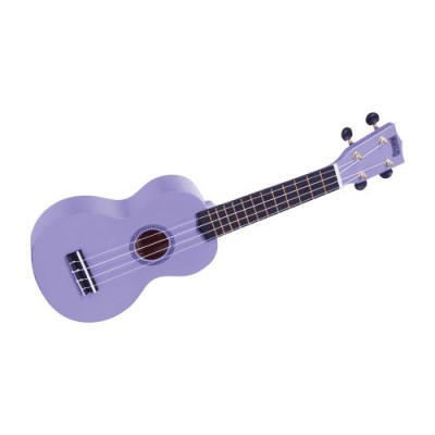 Rainbow Mr1 Purple