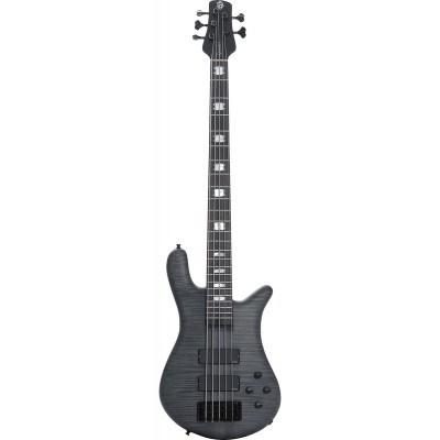 BASSE EURO 5 LX TRANS BLACK STAIN MATTE EMG