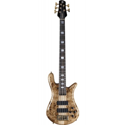 BASSE EURO 5 LX POPLAR BURL NATURAL GLOSS