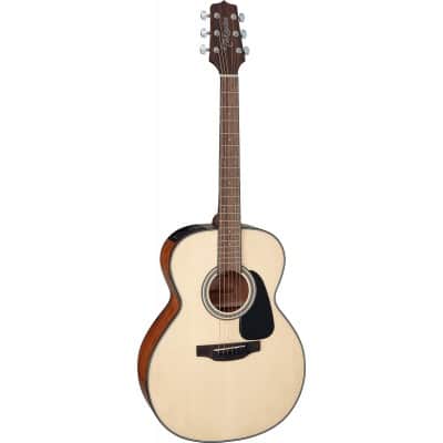 TAKAMINE GLN12ENS 12 NEX EPICA-ACAJOU