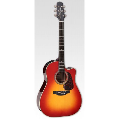 SERIES SPECIALES DREADNOUGHT CUTAWAY ELECTRO