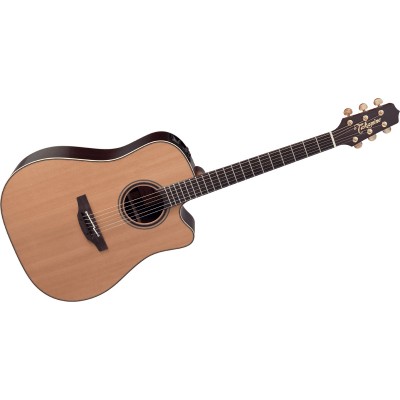 DREADNOUGHT CUTAWAY ELECTRO