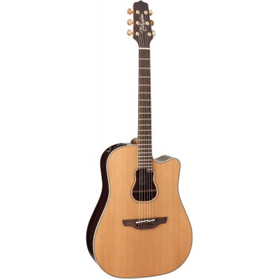 TAKAMINE Japan Natural