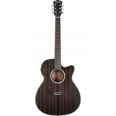 DEEP FOREST AUDITORIUM CUTAWAY EBONY MATTE