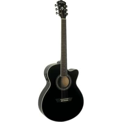 WASHBURN EA 12 B