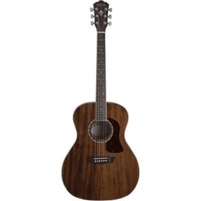 WASHBURN HERITAGE G12S NATURAL