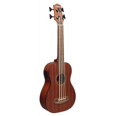 Bass ukulele