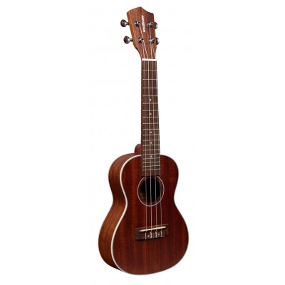 Coconut C10 - Concert