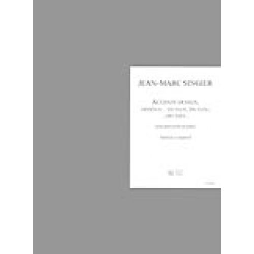 SINGIER JEAN-MARC - ACCENTS DESSUS, DESSOUS ...DE FLUX, DU FLOU, ...DES AXES,...DES AXES