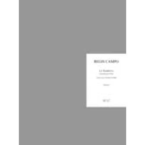 CAMPO REGIS - CONCERTO N°2 - LA TEMPESTA - FLUTE SOLO, ORCHESTRE DE FLUTES