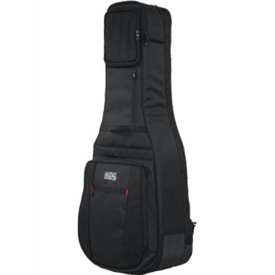 Electric + Folk Double Gigbag - ProGo