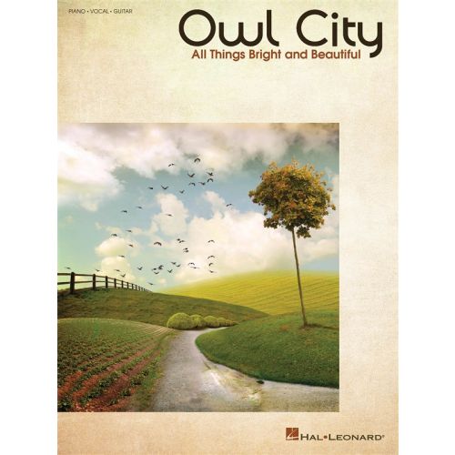 OWL CITY ALL THINGS BRIGHT AND BEAUTIFUL - PVG