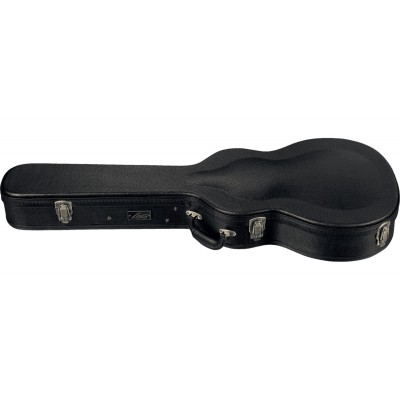 100AS Auditorium Slim Case