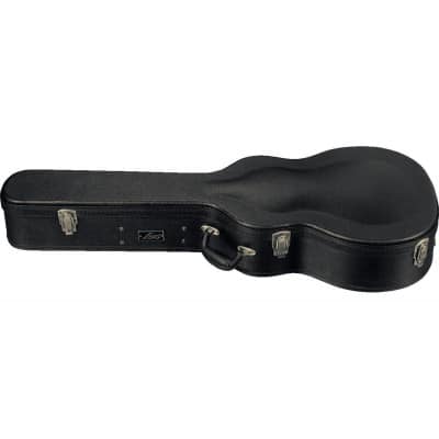 LAG 100A AUDITORIUM HARD CASE