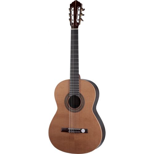 Hofner Hz28
