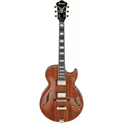 IBANEZ Ag95K-Nt Natural Ag Artcore Expressionist