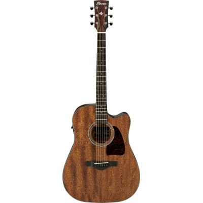 IBANEZ AW54CE-OPN-OPEN PORE NATURAL ARTWOOD