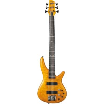 GVB1006 AMBER GERALD VEASLEY SIGNATURE