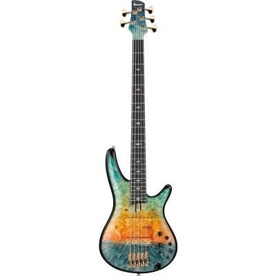 Basses électriques 5 cordes