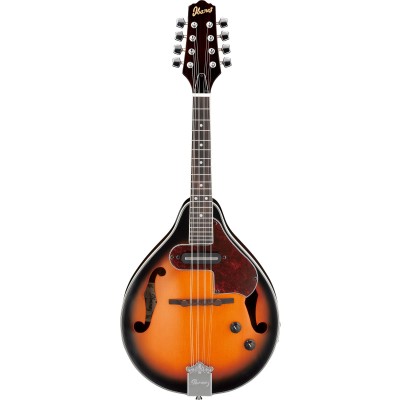 M510E-Bs Brown Sunburst