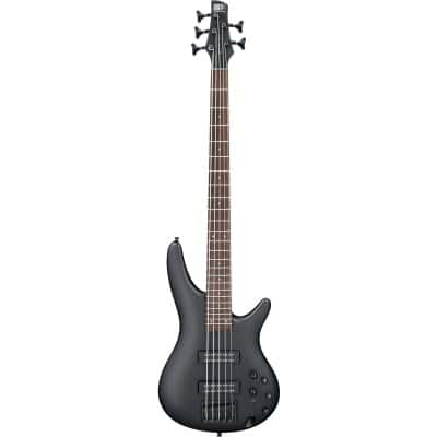 5-string electric bass