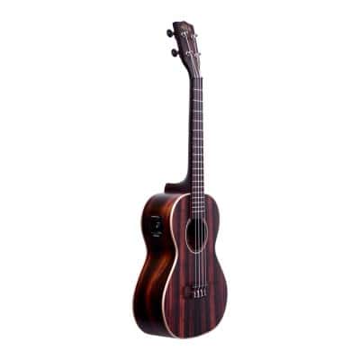 KA-EBY-TE AVEC HOUSSE TENOR STRIPED EBONY SERIES