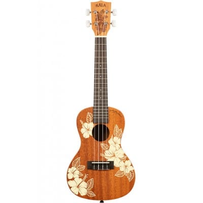 MAORI - HIBISCUS MAHOGANY, CONCERT, LIVRÉ AVEC HOUSSE MOTIF VOYAGE