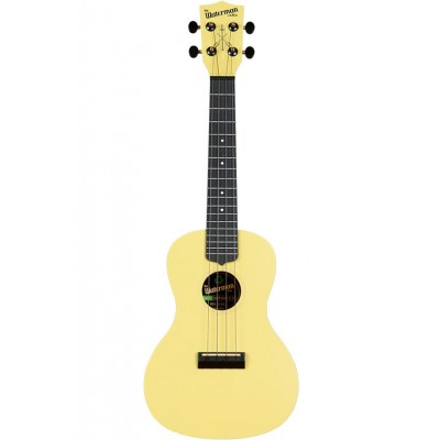 Recycled Waterman Concert Starlight Yellow Glow In The Dark