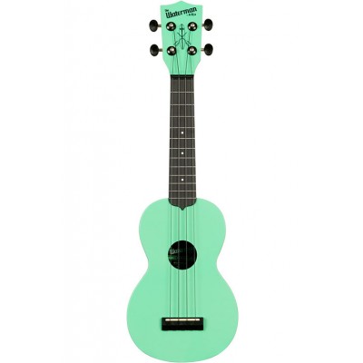 Recycled Waterman Soprano Sea Foam Green