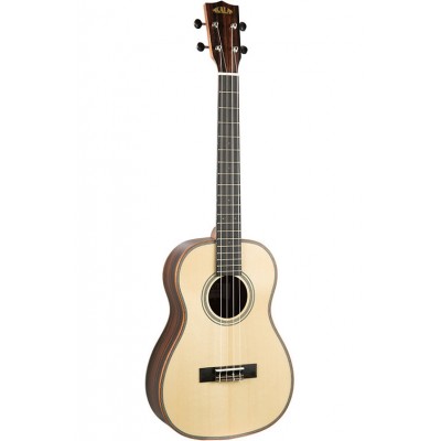 Solid Spruce Top/Ebony Bariton + Gigbag