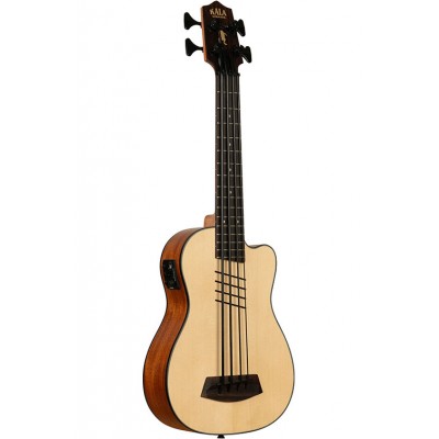 Hutch Hutchinson Signature U-Bass + Housse