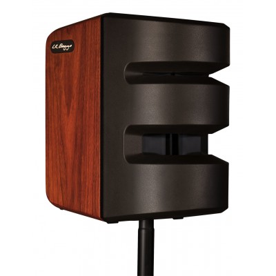 Lr Baggs Synapse