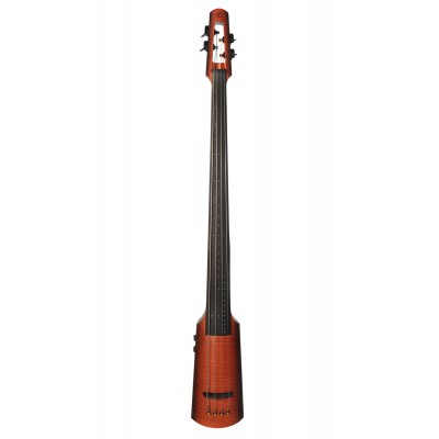 Guitares