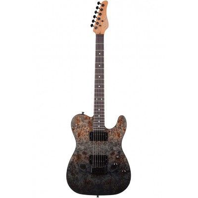SCHECTER Pt Standard Black Fade Burst Burl