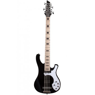 Basses électriques 6 cordes et plus