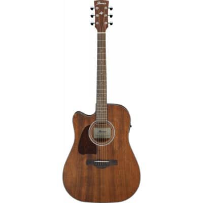 IBANEZ AW54LCE OPEN PORE NATURAL