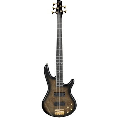 USA Model GSR205PCTPB Transparent Pale Black Burst