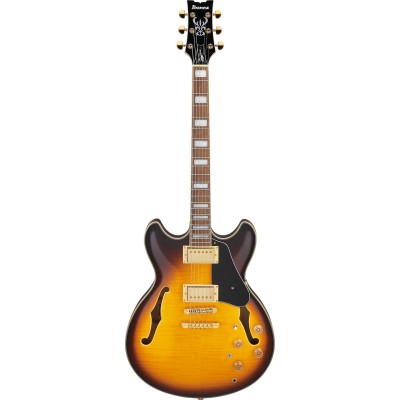 IBANEZ Jsm10Em Signature John Scofield Two-Tone Burst