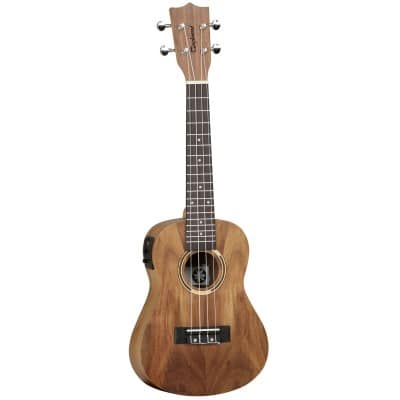 TANGLEWOOD TIARE CLASSICAL TWT 8 E CONCERT NATURAL SATIN + GIGBAG