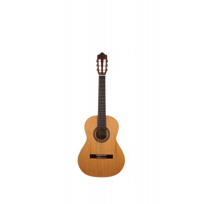 Altamira N100 1/4