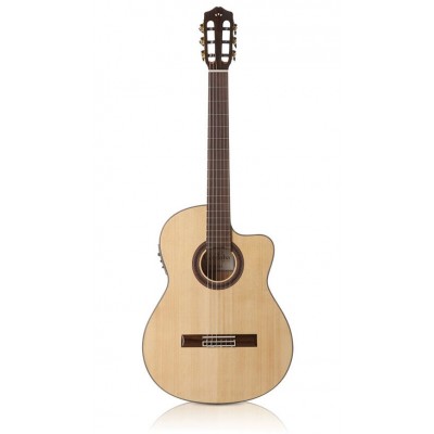 Iberia Gk Studio Gipsy Kings Spruce
