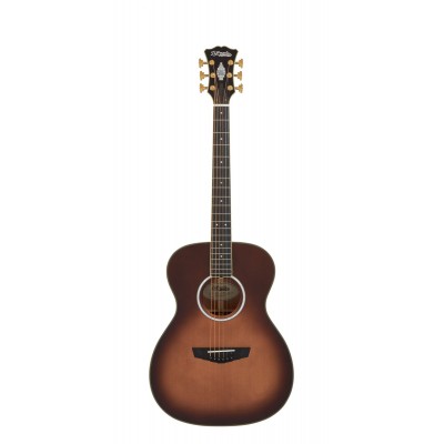 Tammany Autumn Burst