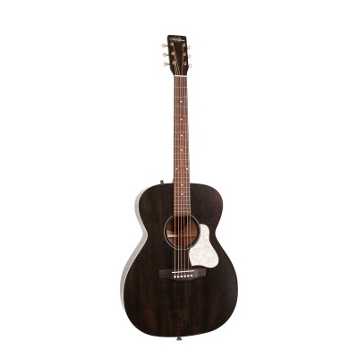 ART & LUTHERIE Legacy Faded Black CH